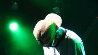 Deltron 3030- Mastermind @ Prospect Park (Brooklyn), NYC