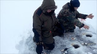 Рыбалка на чудском озере во гдове