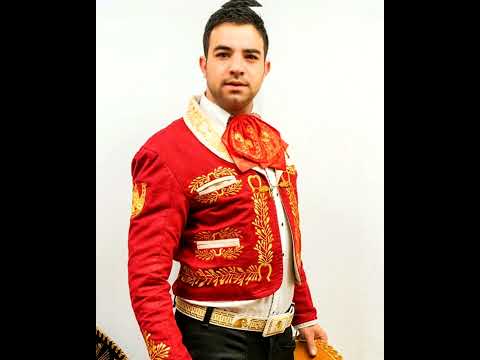 Me hubiera gustado Gabriel del grecco / Jose esparza  versión cumbia covers