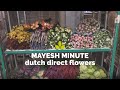 Mayesh Minute Dutch Direct Flowers October 26