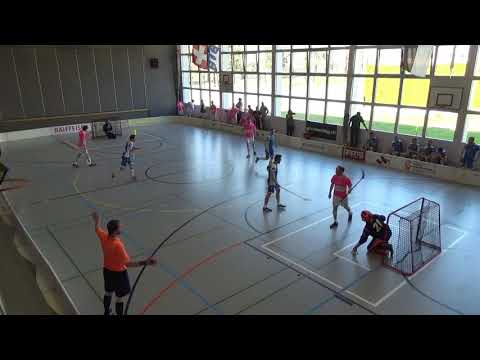 Highlights Spiel 3 STV Spreitenbach vs Semsales #allizeme