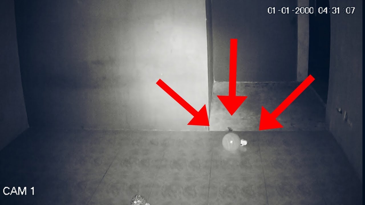 Watch ¡CAPTAMOS UNA PELOTA QUE SE MUEVE SOLA! Now ¡CAPTAMOS UNA PELOTA QUE SE MUEVE SOLA!