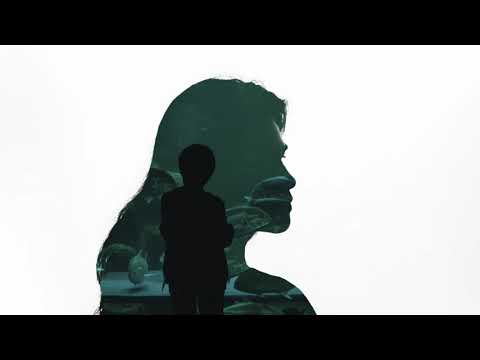 Pesan - Kafin Sulthan