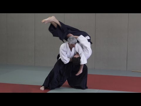 Aikido: Bruno Gonzalez Dynamic Aikido