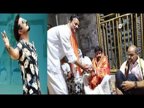 Idea of Tree X-Mas with Soft Toys Celebrations By Four Points Sheraton Hotel in Visakhapatnam..