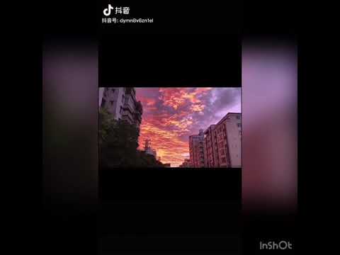 A peaceful scene and bustle of city life