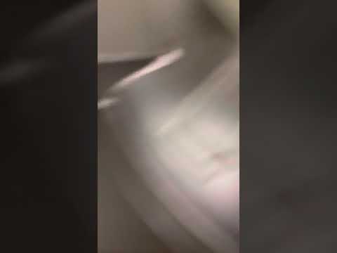 Stephan UM44-S P210527070