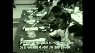 New Guinea Rebel - Wat zou jij doen