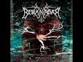 BORKNAGAR - The View Of Everlast