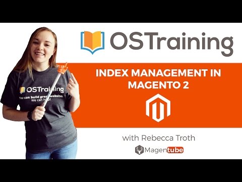 What are Magento 2 Indexes and How Do You Manage Them