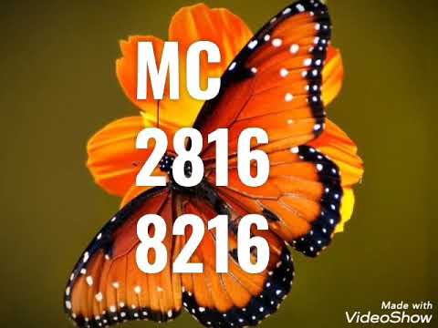 Palpites para jogo do bicho hoje em 30/10/2020