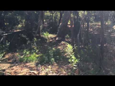 Stezka k pláži v Punta Ala