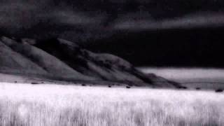 Peter Gabriel - Blood of Eden (alternate)