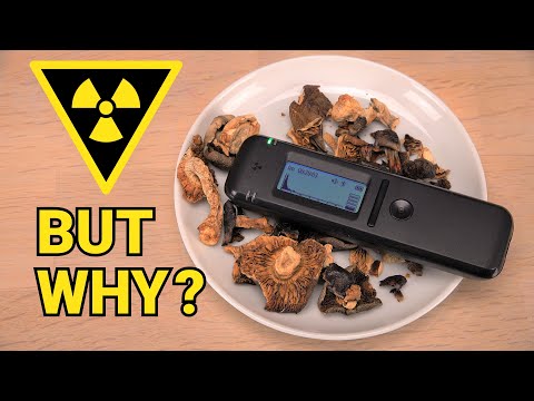 Radioactive Mushrooms vs. Affordable Gamma Spectrometer | This beats ALL Geiger counters!