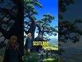 If Trees Could Talk Legends Of Ancient Giants