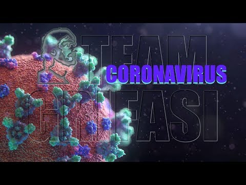 141-inv ES Angie, Sesión Investigativa Libre: CORONAVIRUS - Hipnosis Regresiva Calogero Grifasi