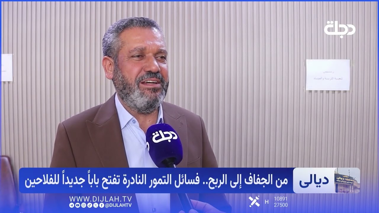 فيديو | الزراعة النسيجية تنقذ فسائل التمور النادرة.. ديالى إنموذجا