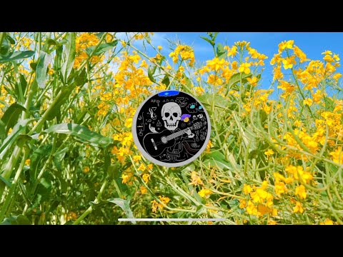 Troba-la! - La Veu Del Bosc (Primavera a la Pera)