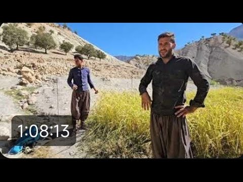 Family Bonds and Silent Distances: A Visit from Cousin Sajad