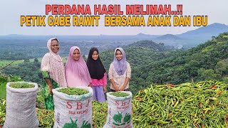 Download lagu PERDANA HASIL MELIMPAH..!! JANGAN HERAN HASILNYA BISA BIKIN KAYA RAYA mp3