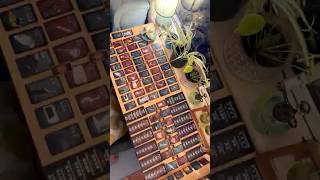 This board game tests your suspicion level 🕷️🕵️📸🌿 #boardgames #tabletopgaming #familygames