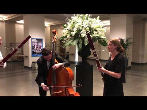 Monteverdi: Son quest'i crespi crini