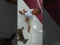 Velisya Vlog 3