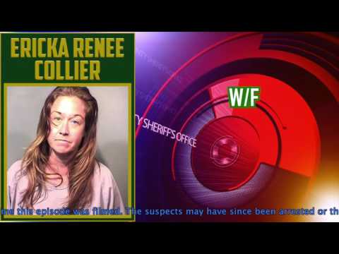 download lagu mp3 mp4 Renee Collier, download mp3 Renee Collier free downloadn, video klip Renee Collier