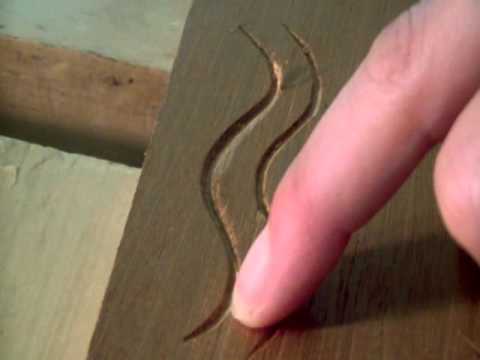 Beginning Woodcarving Techniques with Mary May