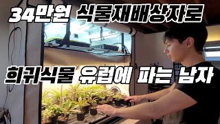 0.5평 재배상자에 희귀식물 10개월 키운 후기 공개 (feat. 벨기에 대학생 펠릭스)