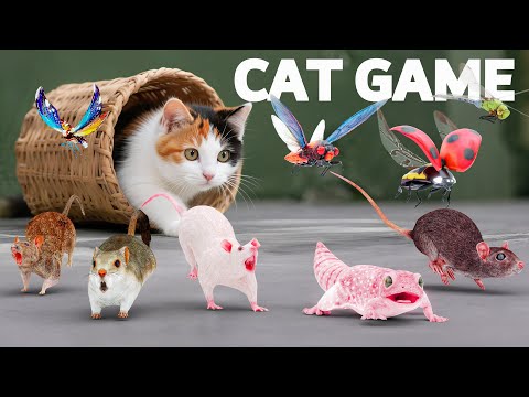 CAT Games | Ultimate GAME FOR CATS 42 | 10 HOURS