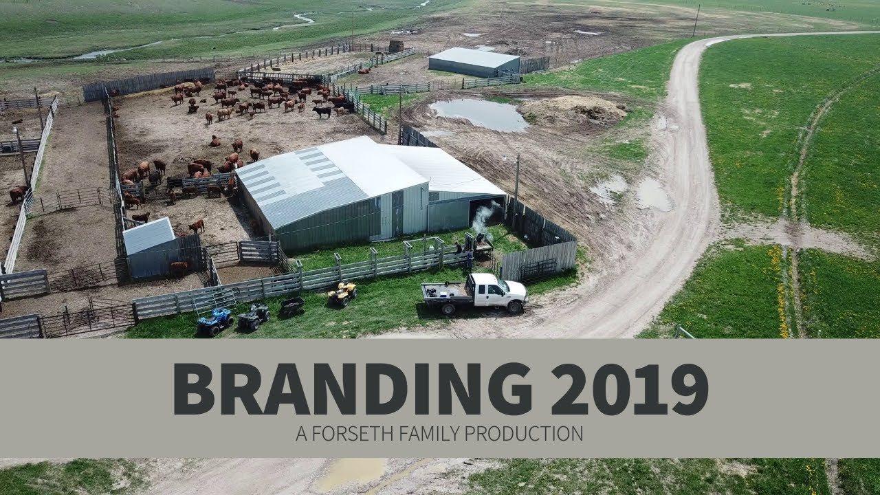 Branding 2019 thumbnail