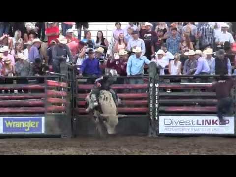 Mike Lee scores 83.5 on Two Bucks (PBR)