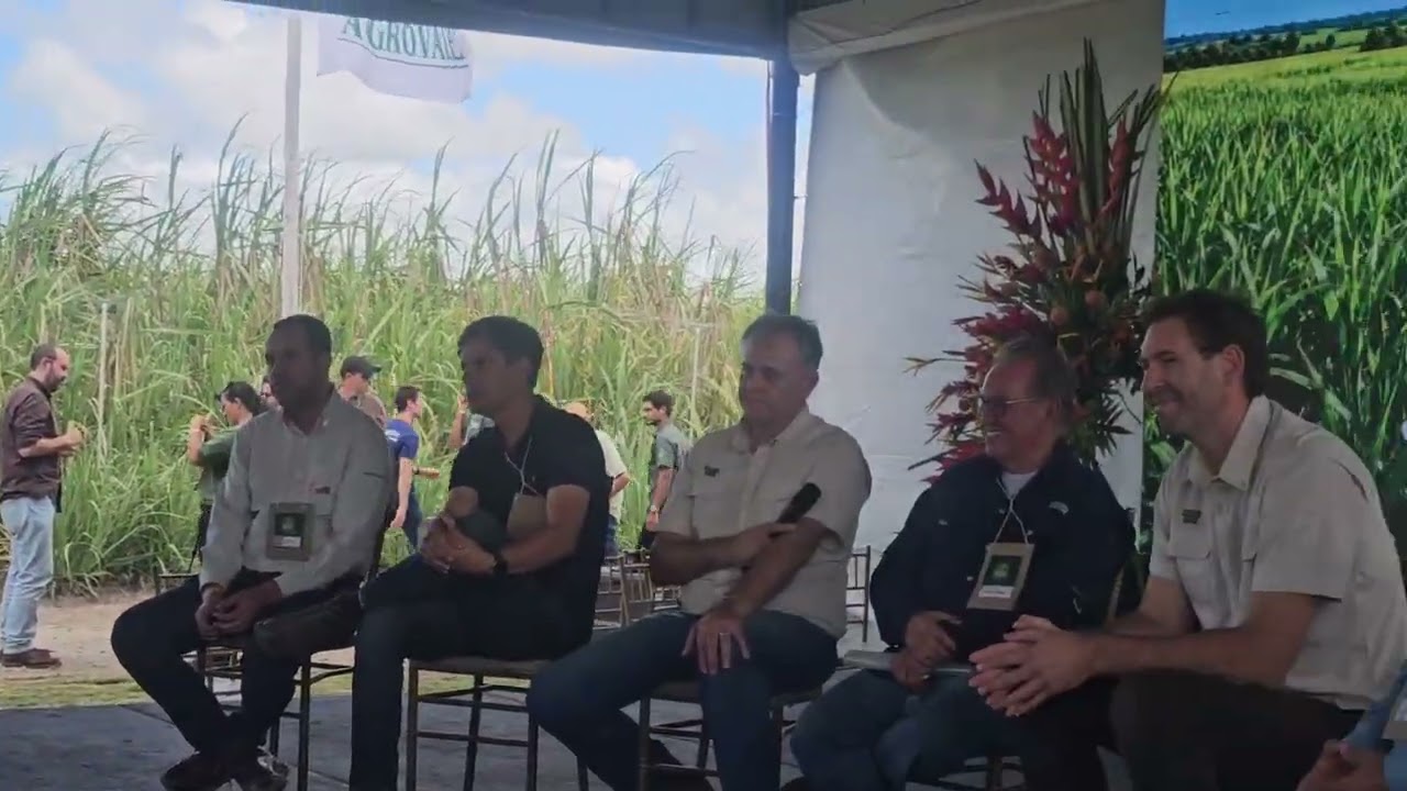 Canavial chega ao 11º corte com produtividade de 75 tch e produtor alagoano agradece a Edilson Maia