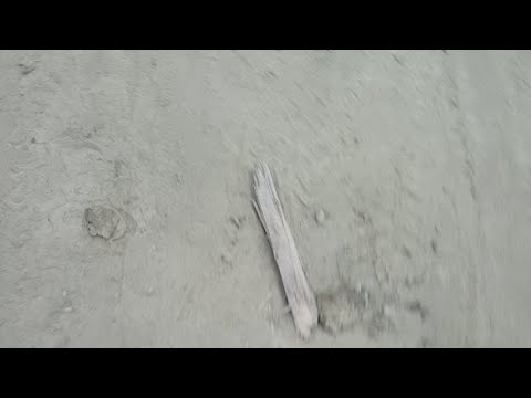 Smashtoberfest 2018 Truck Heat