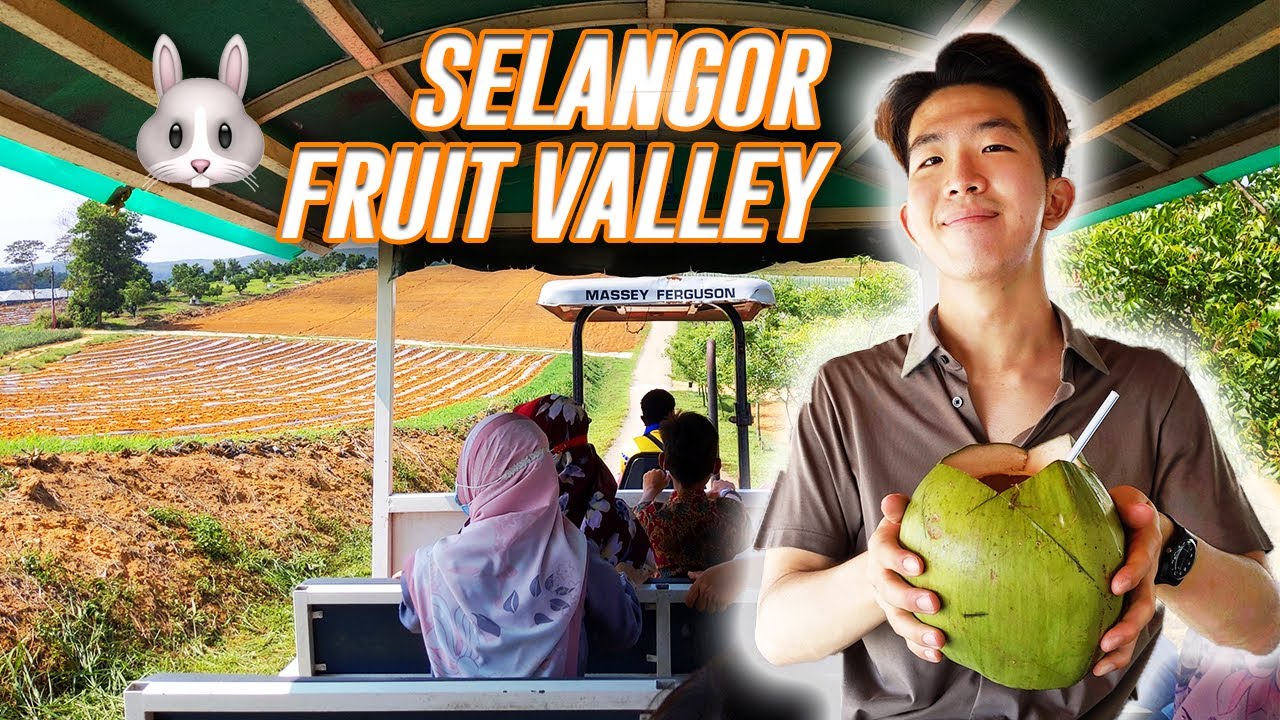 [TRAVEL] Selangor Fruit Valley tour on a buggy, Malaysia