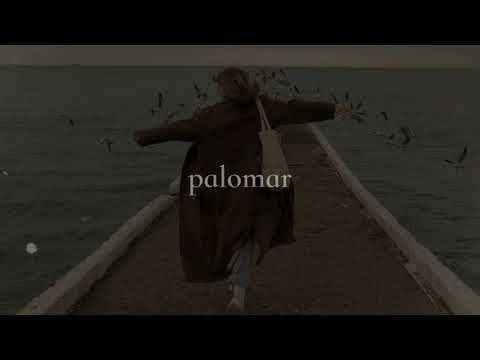 memoir #2 - mayroosevelt (slowed) 1 hour