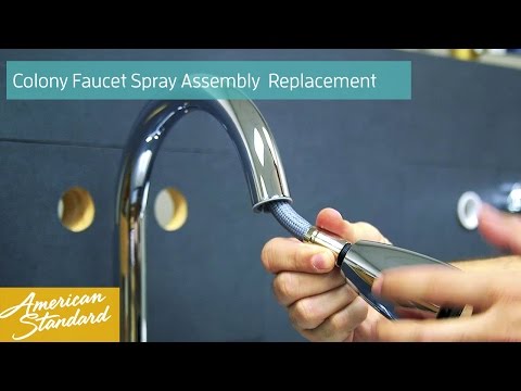 Pull Down Kitchen Faucet Spray Head Replacement