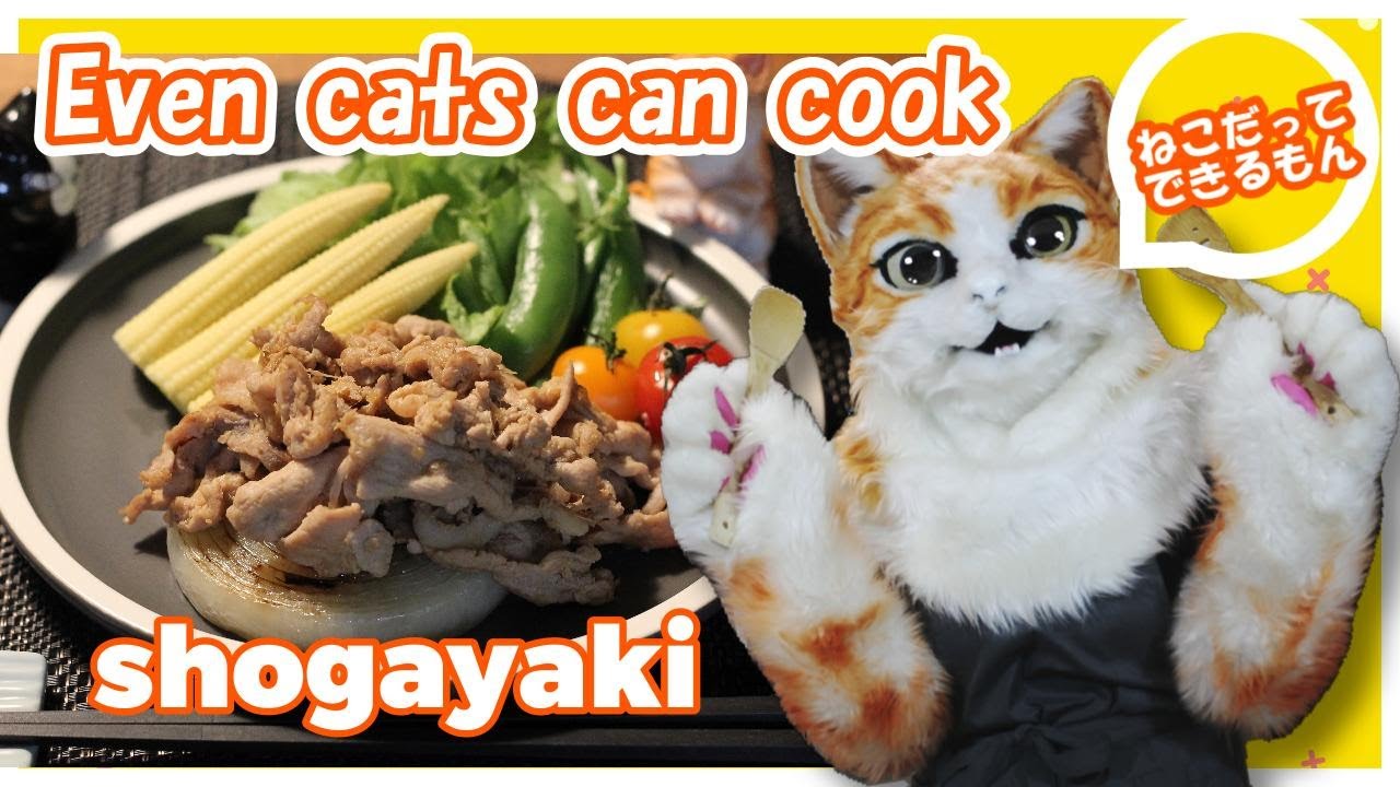 Simple and Easy Japanese Dinner　shogayaki