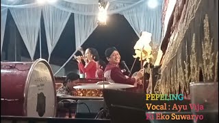 Download lagu PEPELING | KI DALANG EKO SUWARYO | VOCAL AYU VIJA mp3 Download lagu PEPELING | KI DALANG EKO SUWARYO | VOCAL AYU VIJA mp3