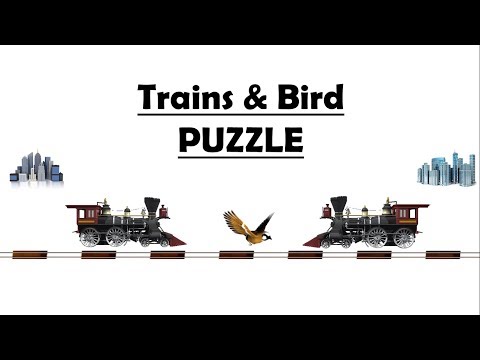 Trains & Bird Puzzle || Brilliant Puzzle