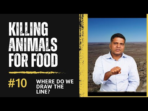 Episode 10 I The Line Between Survival and Cruelty: Namibia vs India I Jerrin Chandan