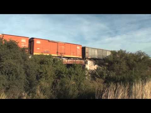Tren del Belgrano Cargas (7739) entre Huascha y Chuña (VII), Córdoba