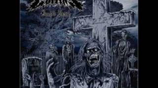 Best Metal Albums of 2008