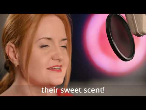 Marius Herea - "Still alive" sung by Renate Grad