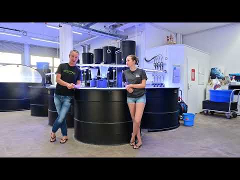 Konishi Koi News - Top offers at the Konishi Outlet this week