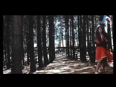 प्रेम दीवानी तू जीती मैं तेरे प्यार से हारा लौट के वापस आ जा ऐसा वह गा अब ना दोबारा