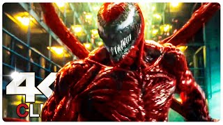 Venom Vs Carnage - Fight Scene  VENOM 2 LET THERE 