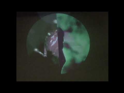 projection mapping tutorial with grant bouvier (resolume)