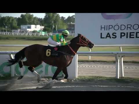 230211 c07 - DON PEDRO (BRZ) - HIPODROMO LAS PIEDRAS